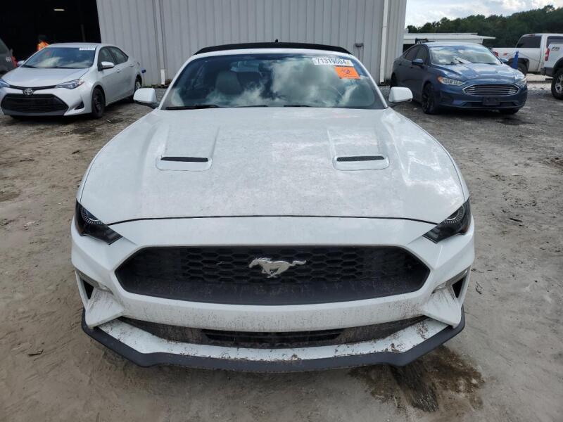 2019 FORD MUSTANG - 1FATP8UH5K5170454 | SeoVin.biz