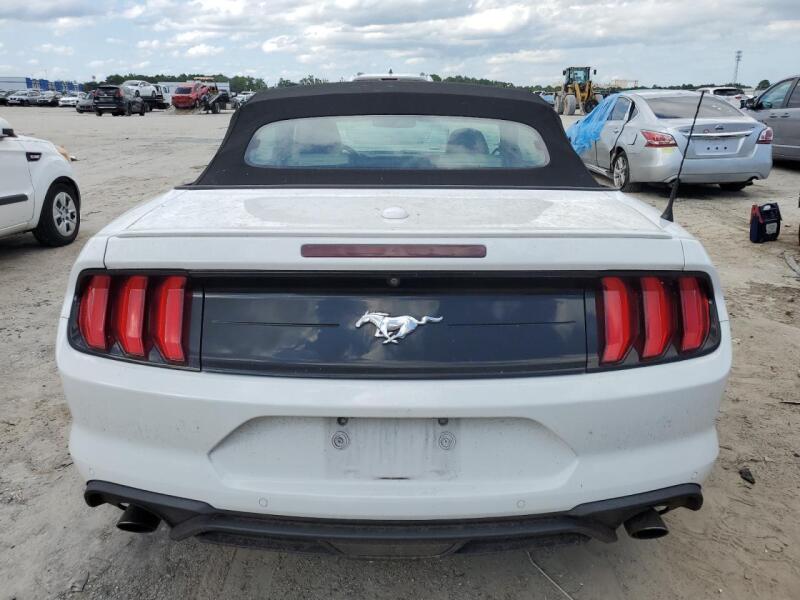 2019 FORD MUSTANG - 1FATP8UH5K5170454 | SeoVin.biz