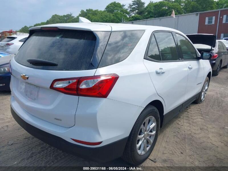 2019 CHEVROLET EQUINOX LS - 3GNAXSEVXKL235759 | SeoVin.biz