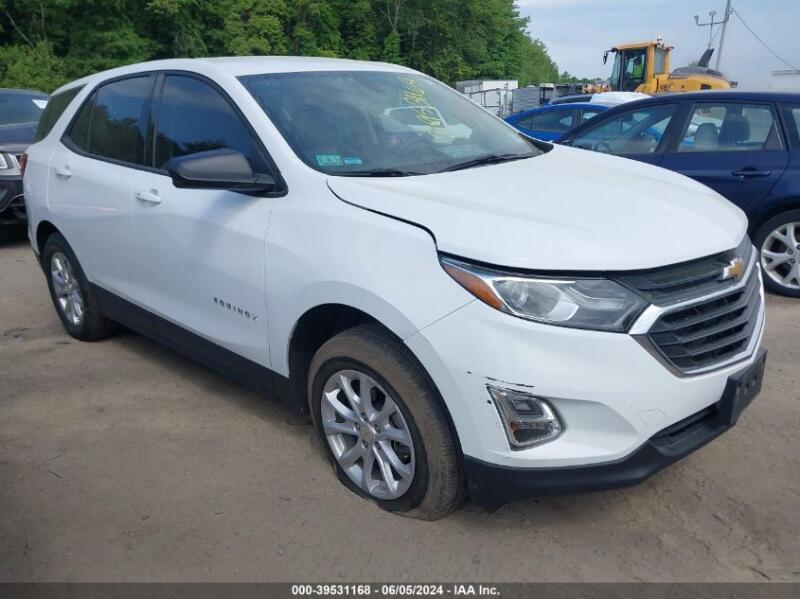 2019 CHEVROLET EQUINOX LS - 3GNAXSEVXKL235759 | SeoVin.biz