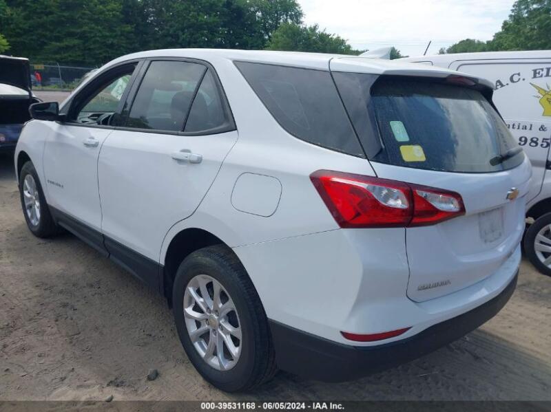 2019 CHEVROLET EQUINOX LS - 3GNAXSEVXKL235759 | SeoVin.biz