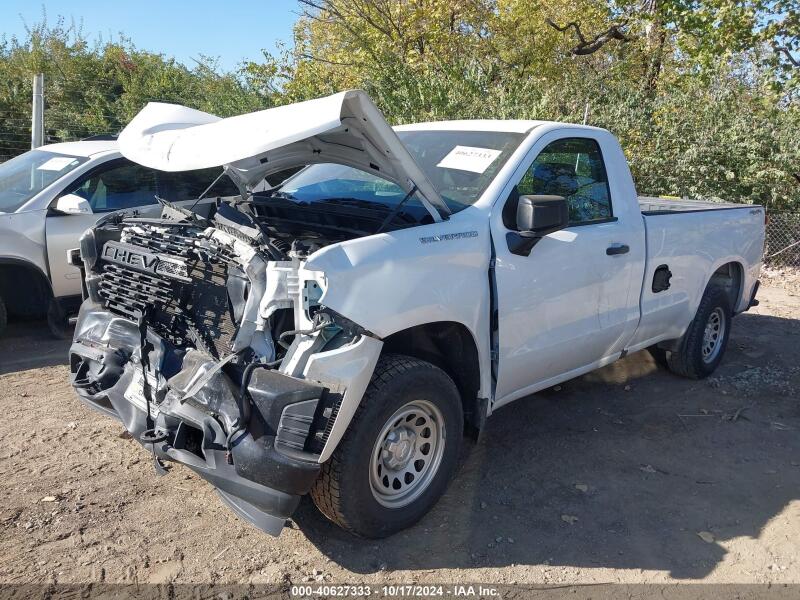 2019 CHEVROLET SILVERADO 1500 WORK TRUCK - 3GCNYAEH3KG160231 | SeoVin.biz