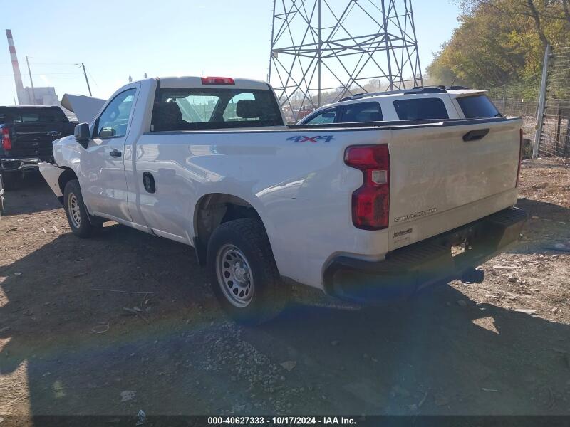 2019 CHEVROLET SILVERADO 1500 WORK TRUCK - 3GCNYAEH3KG160231 | SeoVin.biz