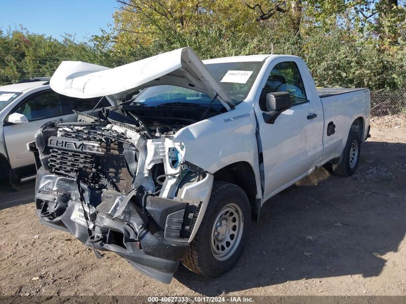 2019 CHEVROLET SILVERADO 1500 WORK TRUCK - 3GCNYAEH3KG160231 | SeoVin.biz