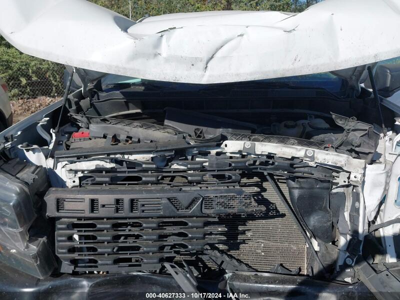 2019 CHEVROLET SILVERADO 1500 WORK TRUCK - 3GCNYAEH3KG160231 | SeoVin.biz