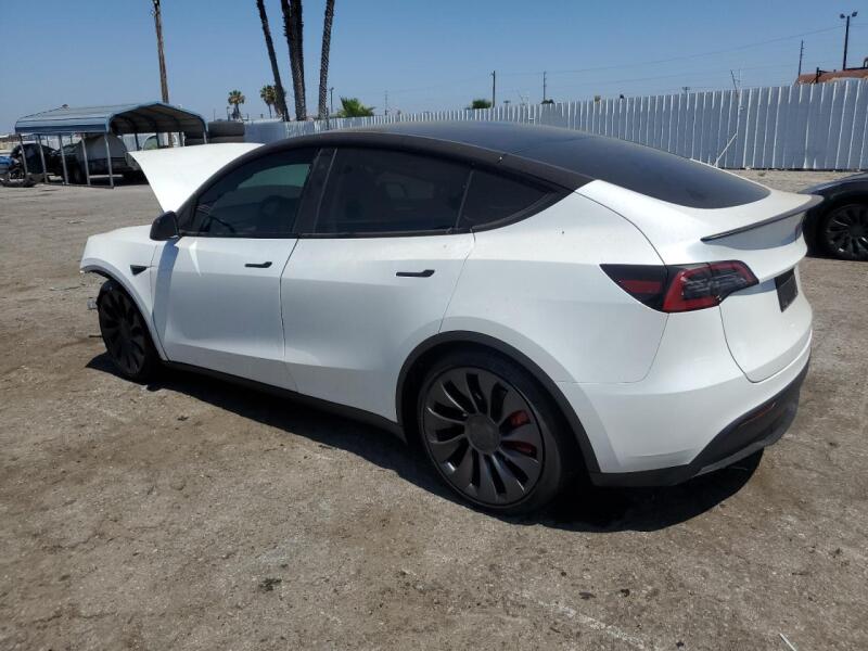 2023 TESLA MODEL Y - 7SAYGDEF8PF785868 | SeoVin.biz