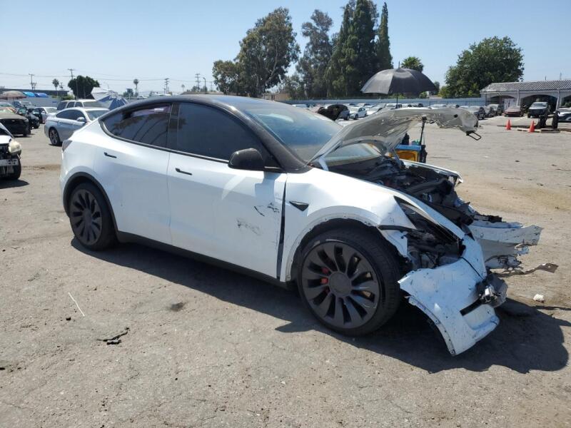2023 TESLA MODEL Y - 7SAYGDEF8PF785868 | SeoVin.biz