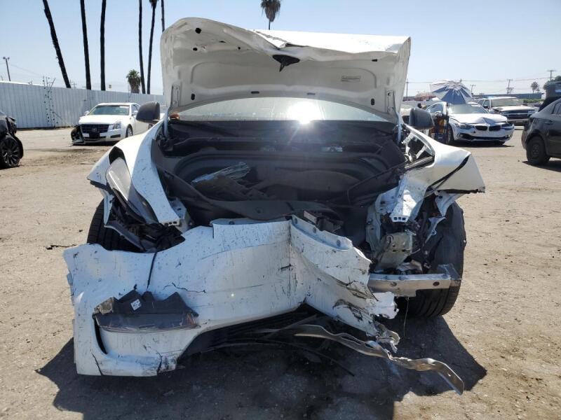 2023 TESLA MODEL Y - 7SAYGDEF8PF785868 | SeoVin.biz