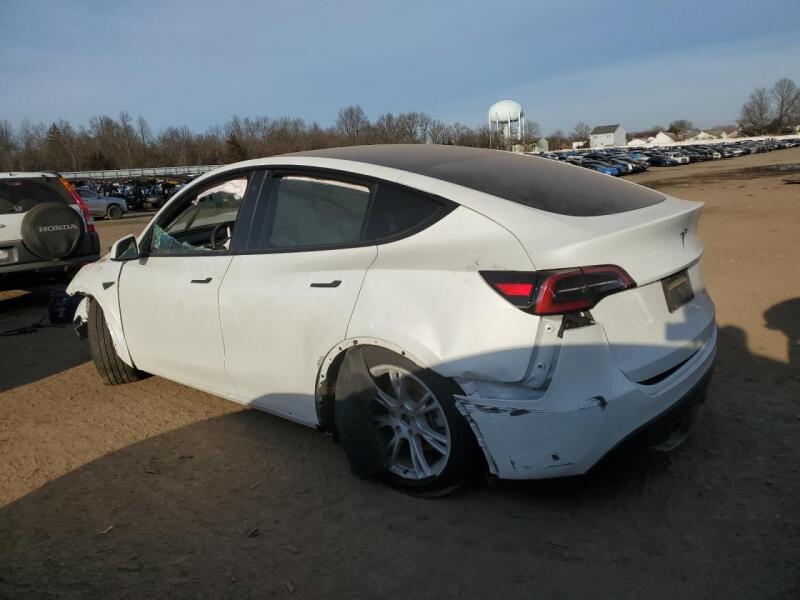 2023 TESLA MODEL Y - 7SAYGDEE7PF618831 | SeoVin.biz