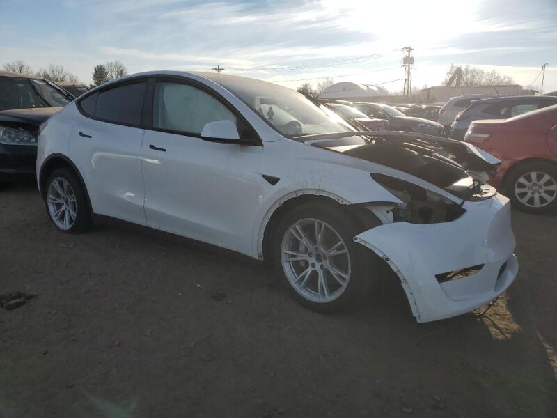 2023 TESLA MODEL Y - 7SAYGDEE7PF618831 | SeoVin.biz