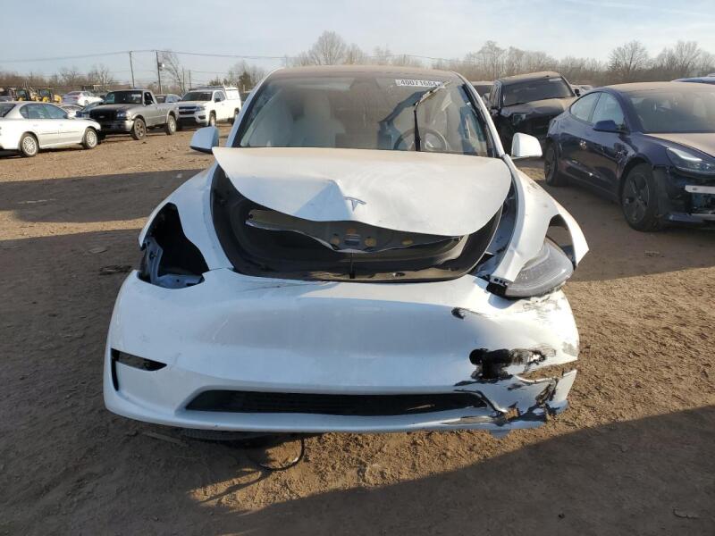 2023 TESLA MODEL Y - 7SAYGDEE7PF618831 | SeoVin.biz