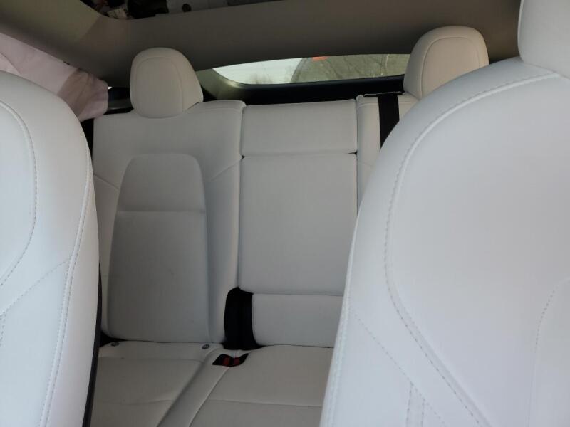 2023 TESLA MODEL Y - 7SAYGDEE7PF618831 | SeoVin.biz