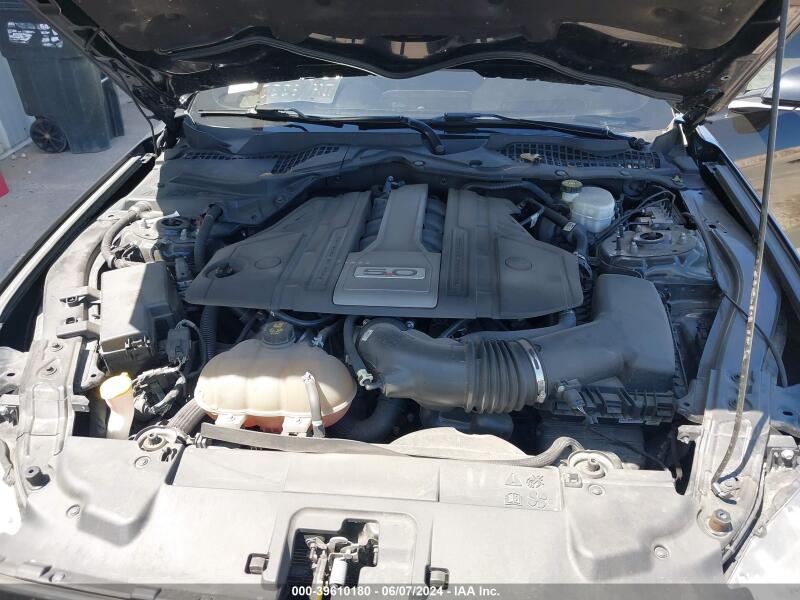 2019 FORD MUSTANG GT PREMIUM - 1FA6P8CF4K5175996 | SeoVin.biz