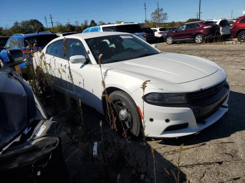 2017 DODGE CHARGER POLICE - 2C3CDXAG2HH590378 | SeoVin.biz