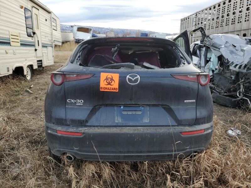 2023 MAZDA CX-30 PREFERRED - 3MVDMBCM9PM567703 | SeoVin.biz