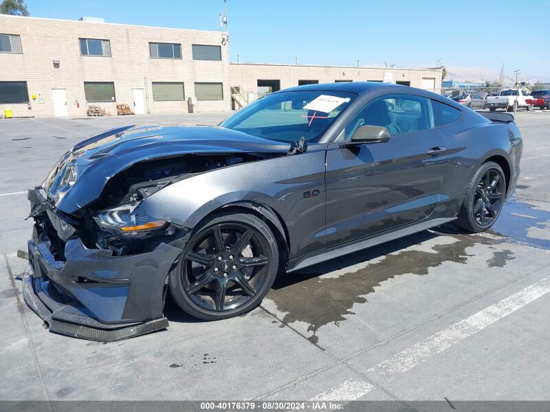 2019 FORD MUSTANG GT - 1FA6P8CF1K5196451 | SeoVin.biz