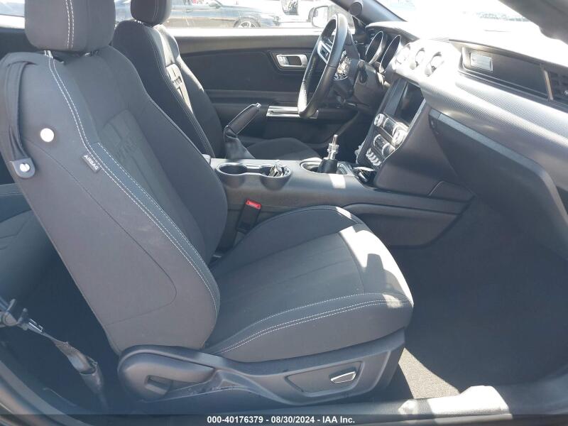 2019 FORD MUSTANG GT - 1FA6P8CF1K5196451 | SeoVin.biz