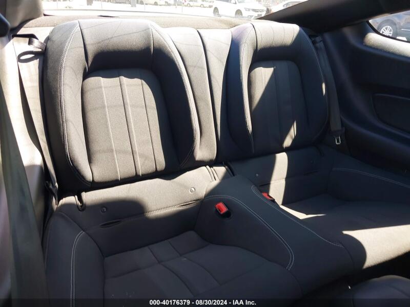 2019 FORD MUSTANG GT - 1FA6P8CF1K5196451 | SeoVin.biz