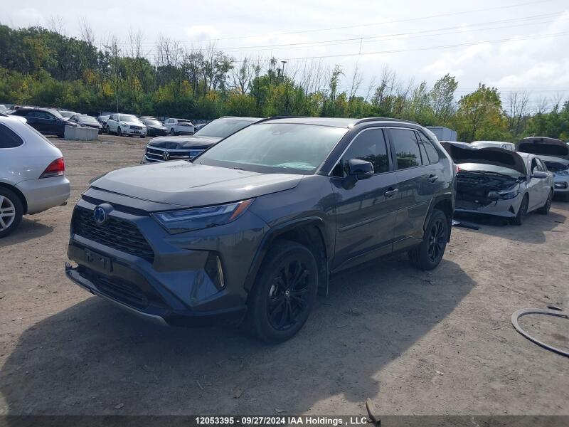 2023 TOYOTA RAV4 - 2T35WRFVXPW179018 | SeoVin.biz