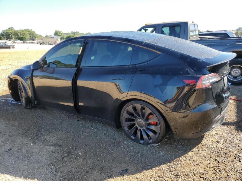 2023 TESLA MODEL Y - 7SAYGDEF2PF765941 | SeoVin.biz