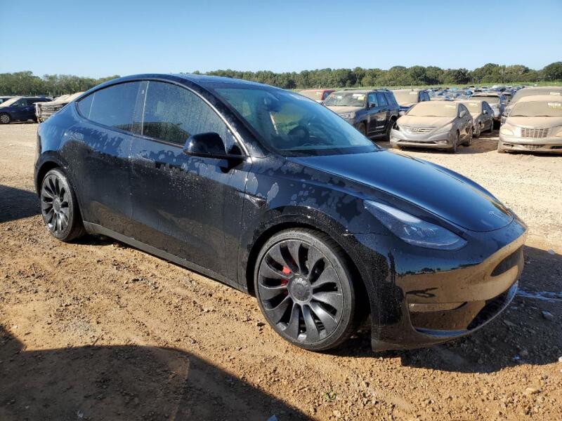 2023 TESLA MODEL Y - 7SAYGDEF2PF765941 | SeoVin.biz