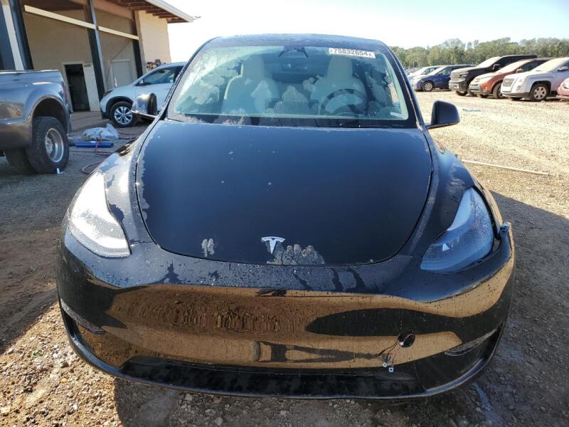 2023 TESLA MODEL Y - 7SAYGDEF2PF765941 | SeoVin.biz