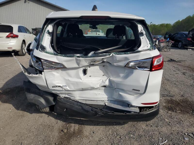 2020 CHEVROLET EQUINOX LS - 2GNAXSEV3L6178309 | SeoVin.biz