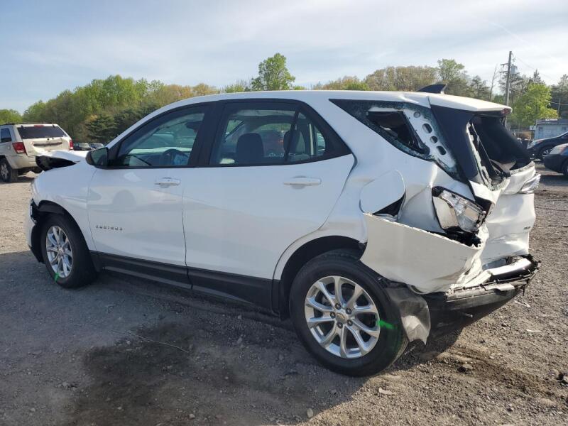 2020 CHEVROLET EQUINOX LS - 2GNAXSEV3L6178309 | SeoVin.biz