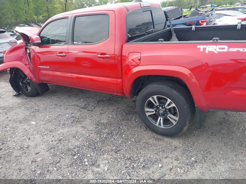 2019 TOYOTA TACOMA TRD SPORT - 3TMAZ5CN1KM086305 | SeoVin.biz
