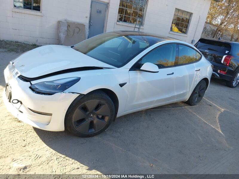 2022 TESLA MODEL 3 - 5YJ3E1EB1NF314554 | SeoVin.biz