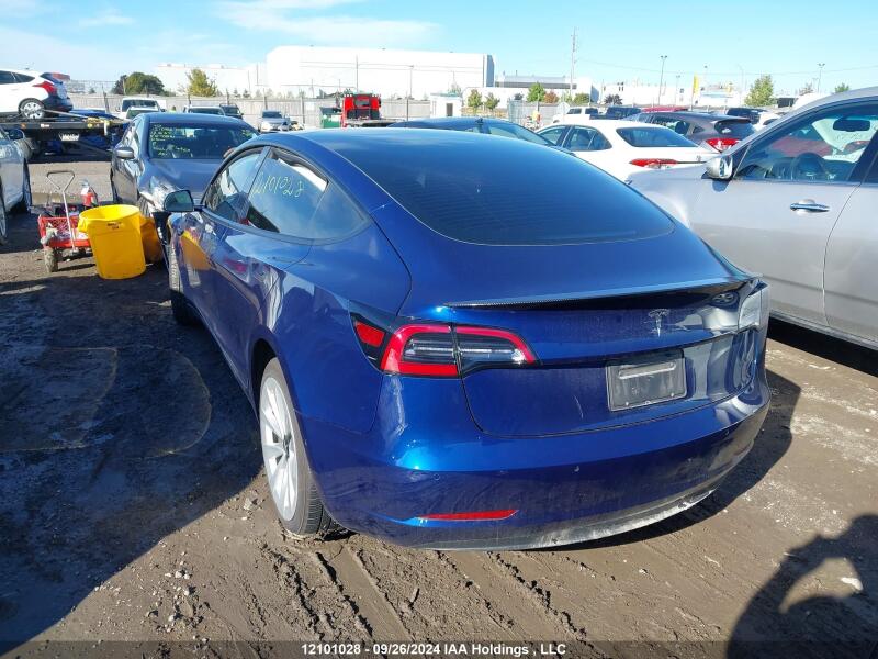2022 TESLA MODEL 3 - 5YJ3E1EA0NF175511 | SeoVin.biz