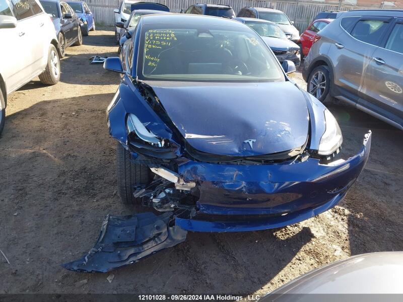 2022 TESLA MODEL 3 - 5YJ3E1EA0NF175511 | SeoVin.biz