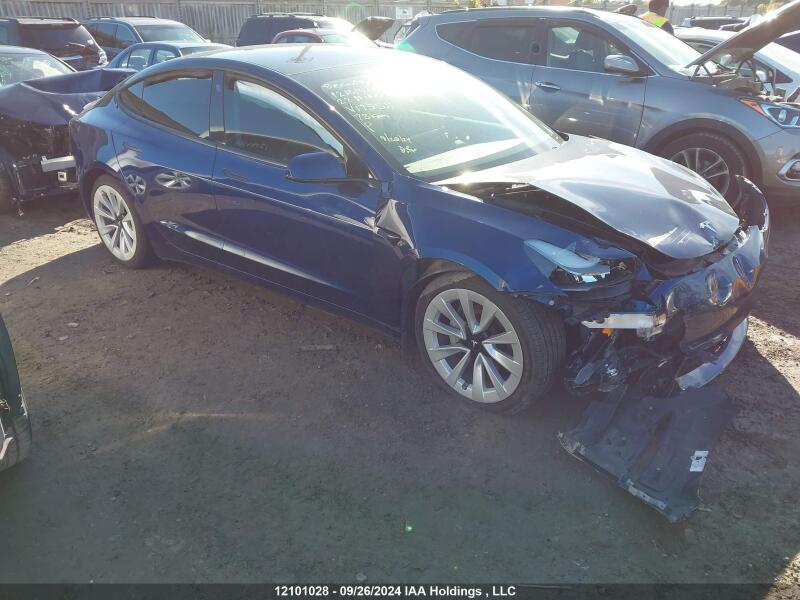 2022 TESLA MODEL 3 - 5YJ3E1EA0NF175511 | SeoVin.biz