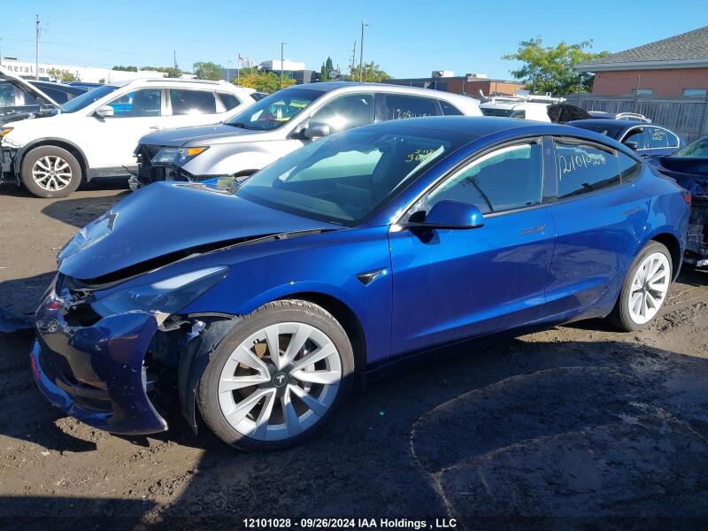 2022 TESLA MODEL 3 - 5YJ3E1EA0NF175511 | SeoVin.biz