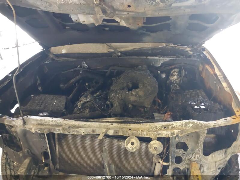 2023 TOYOTA TACOMA TRD OFF ROAD - 3TMCZ5AN8PM550886 | SeoVin.biz