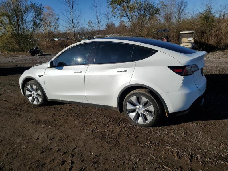 2023 TESLA MODEL Y - 7SAYGDEE0PF664033 | SeoVin.biz
