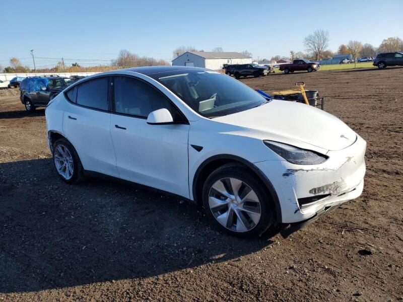2023 TESLA MODEL Y - 7SAYGDEE0PF664033 | SeoVin.biz
