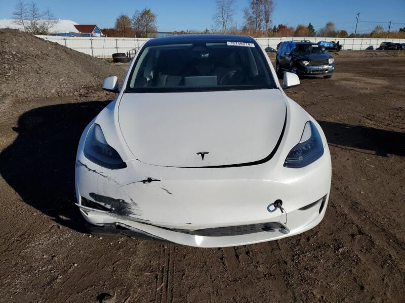 2023 TESLA MODEL Y - 7SAYGDEE0PF664033 | SeoVin.biz