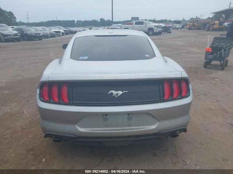 2019 FORD MUSTANG ECOBOOST - 1FA6P8TH4K5152879 | SeoVin.biz