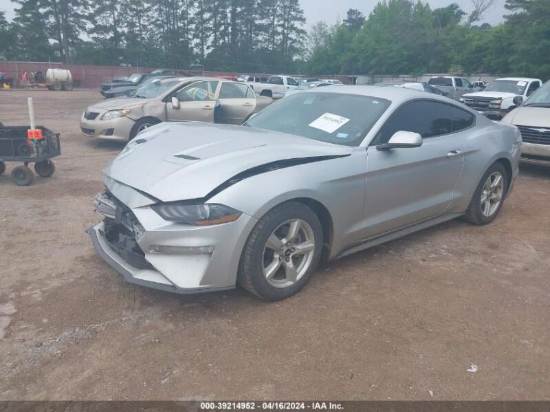 2019 FORD MUSTANG ECOBOOST - 1FA6P8TH4K5152879 | SeoVin.biz