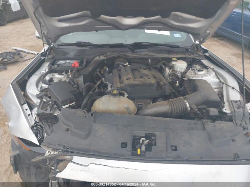 2019 FORD MUSTANG ECOBOOST - 1FA6P8TH4K5152879 | SeoVin.biz
