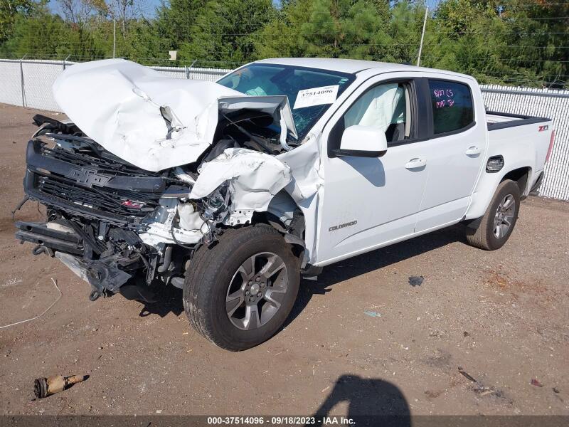 2019 CHEVROLET COLORADO Z71 - 1GCGTDEN5K1192319 | SeoVin.biz