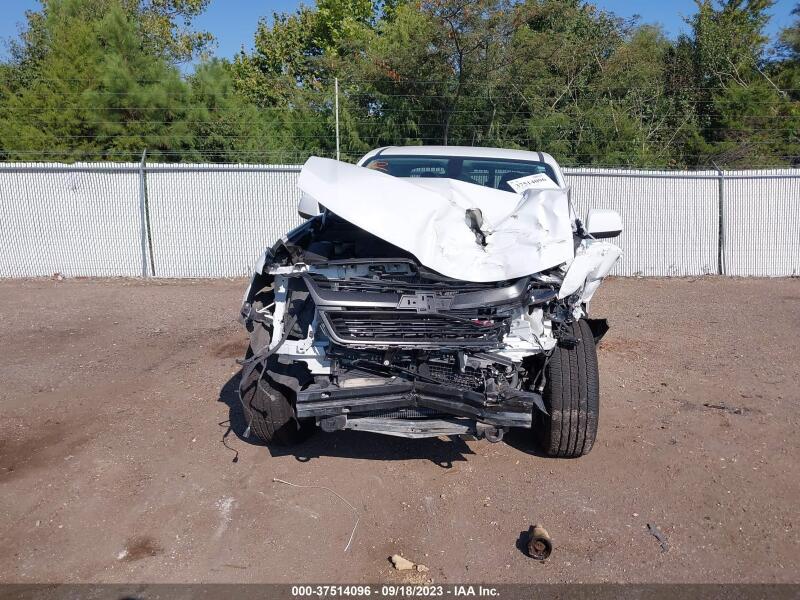2019 CHEVROLET COLORADO Z71 - 1GCGTDEN5K1192319 | SeoVin.biz