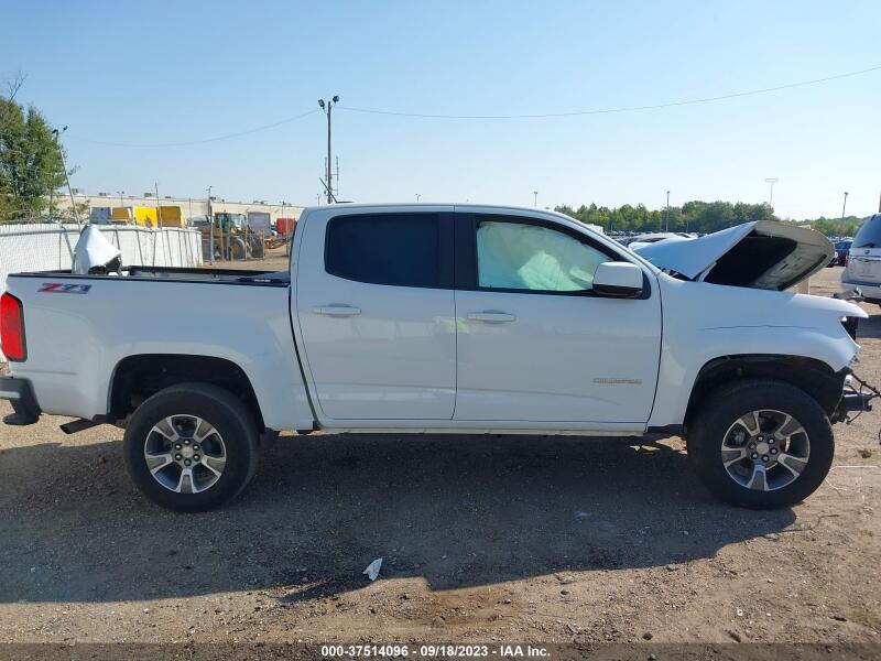 2019 CHEVROLET COLORADO Z71 - 1GCGTDEN5K1192319 | SeoVin.biz