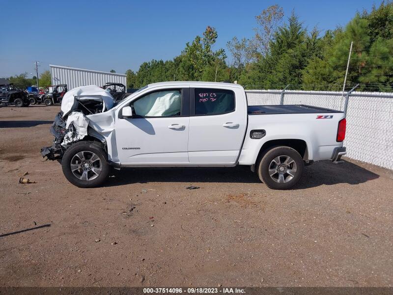 2019 CHEVROLET COLORADO Z71 - 1GCGTDEN5K1192319 | SeoVin.biz