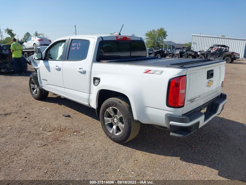 2019 CHEVROLET COLORADO Z71 - 1GCGTDEN5K1192319 | SeoVin.biz