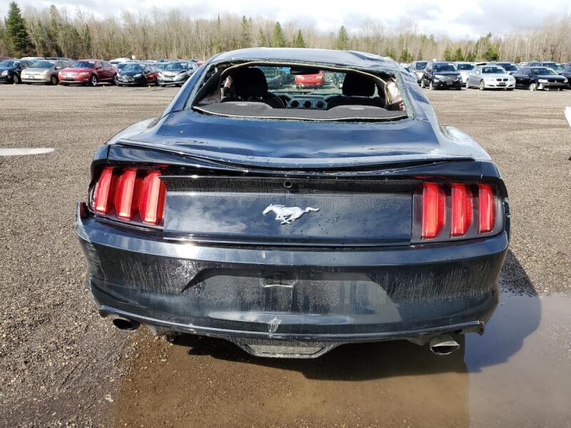 2016 FORD MUSTANG - 1FA6P8TH4G5325310 | SeoVin.biz