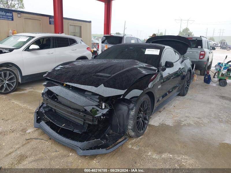 2021 FORD MUSTANG GT FASTBACK - 1FA6P8CF6M5105340 | SeoVin.biz