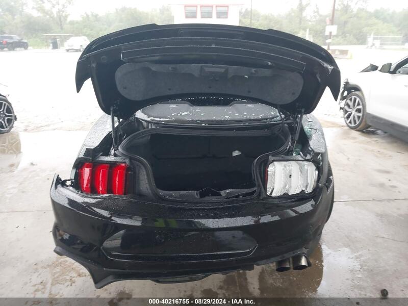 2021 FORD MUSTANG GT FASTBACK - 1FA6P8CF6M5105340 | SeoVin.biz