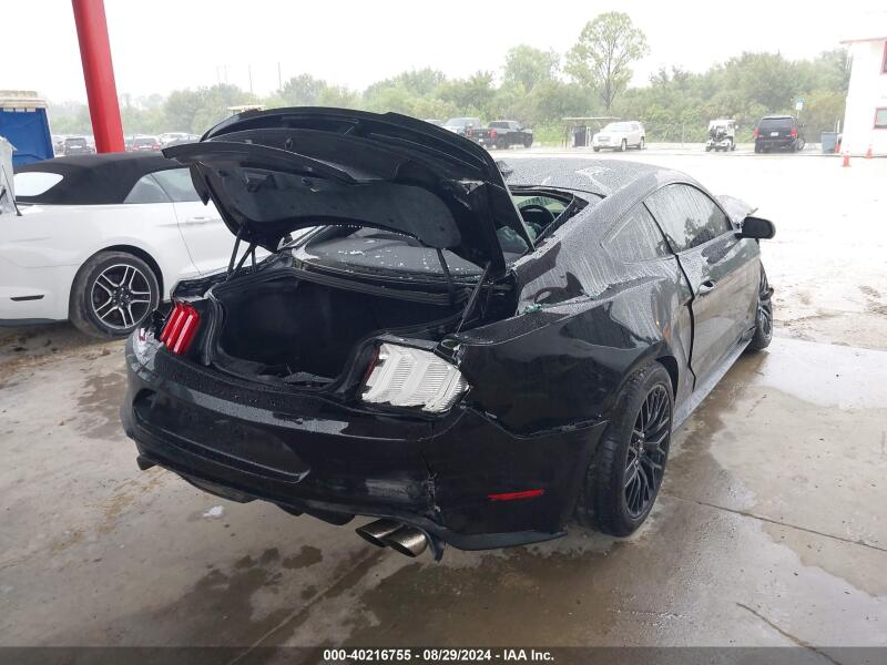2021 FORD MUSTANG GT FASTBACK - 1FA6P8CF6M5105340 | SeoVin.biz